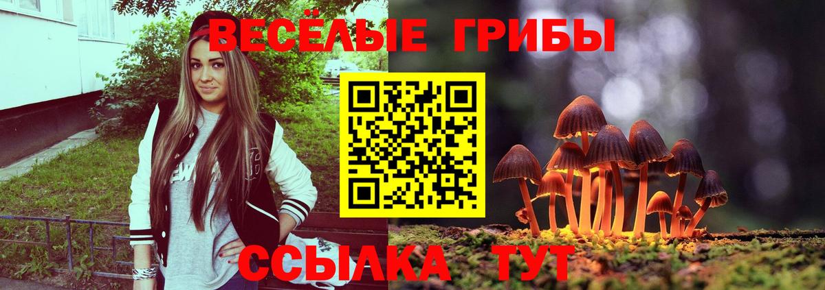Кохма  Псилоцибиновые грибы мицелий  цены   Псилоцибиновые грибы Psilocybine cubensis  Вход с VPN 