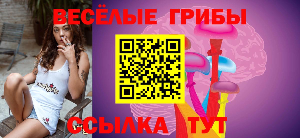 Псилоцибиновые грибы мицелий Кохма
